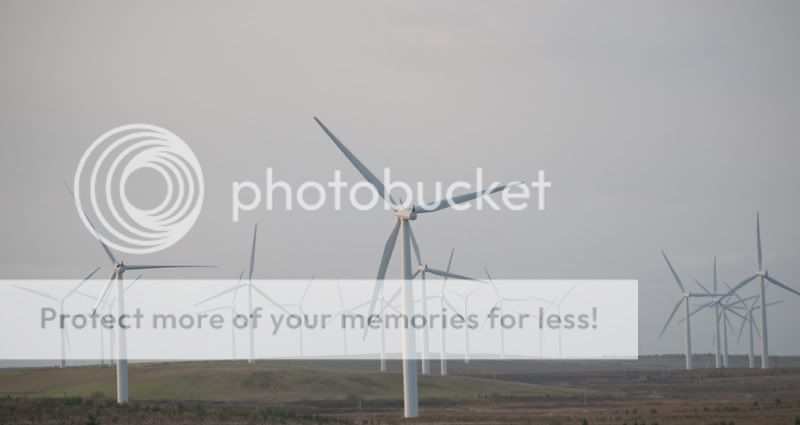 windmills_3.jpg