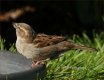 DSC00497.jpg