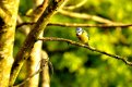 MDJ_0163###.jpg