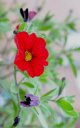 DSC_0291.JPG DSC_0291.JPG