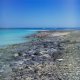 DSC04880.jpg DSC04880.jpg