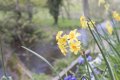 DSC05380.JPG