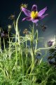_20170517_192514.JPG _20170517_192514.JPG