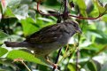 DSC_3294.jpg