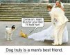 Dog-truly-is-a-mans-best-friend1.jpg