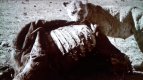 20170629_191233.jpg 20170629_191233.jpg