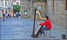 harp man 1.jpg