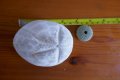 P1000366.jpg P1000366.jpg