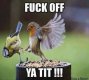f*** off ya Tit..jpg