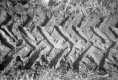 Rollei BW 5.jpg