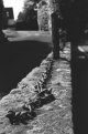 Chain FP4 P30 2.jpg