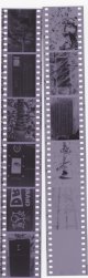 Negatives copy.jpg
