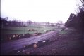 DSC04502.jpg