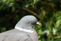 DSC00024.JPG