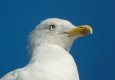 DSC_8695.jpg DSC_8695.jpg