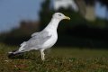 DSC_3757.jpg DSC_3757.jpg