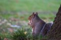 IMG_2296.JPG