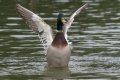 DSC_5876.jpg