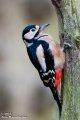 _DSC1645.jpg _DSC1645.jpg