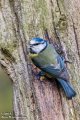 _DSC1677.jpg _DSC1677.jpg