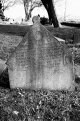 2017-04-07-n8008b-0010e2ps.jpg