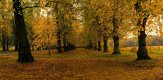 DSC_0547-Pano..jpg