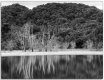 Neil's-Photography004.jpg
