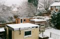SNOW.JPG SNOW.JPG