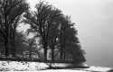 Image00001.jpg