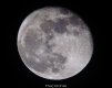 moon.jpg