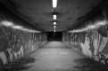 thumb_FP.001_1024.jpg