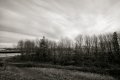 DSC08812-N2.jpg