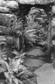 2017, Praktica MTL3, Rollei IR400, HC110 dil B, 002.jpg 2017, Praktica MTL3, Rollei IR400, HC110 dil B, 002.jpg