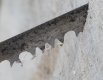 Sharp (1 of 1)-3.JPG