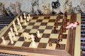 Animal Chess 2.jpg