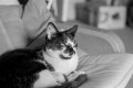 FM-HP5-37 (18).jpg FM-HP5-37 (18).jpg