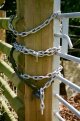 Chain rejects 2.jpg