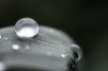 Oval lowres.jpg