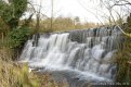 DSC_0214_1.JPG