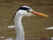 DSC00061.jpg