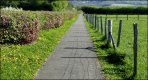 straight path.jpg