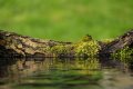 DSCF5518.JPG