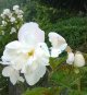 2016-07-19 19.08.57edited.jpg
