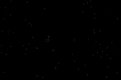 IMG_7435pixels.jpg