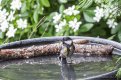 IMG_9404.jpg