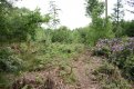 DSC_0273.JPG