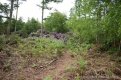 DSC_0274.JPG