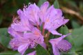 DSC_0279.JPG