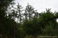 DSC_0278.JPG