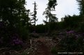 DSC_0286.JPG